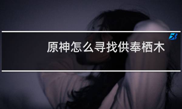 原神怎么寻找供奉栖木