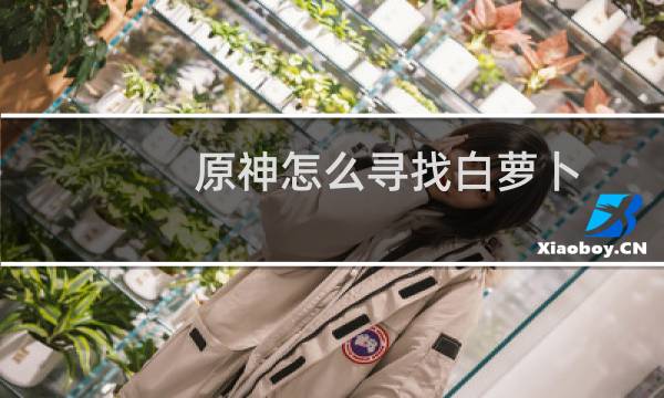 原神怎么寻找白萝卜