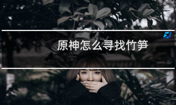 原神怎么寻找竹笋