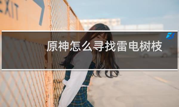 原神怎么寻找雷电树枝