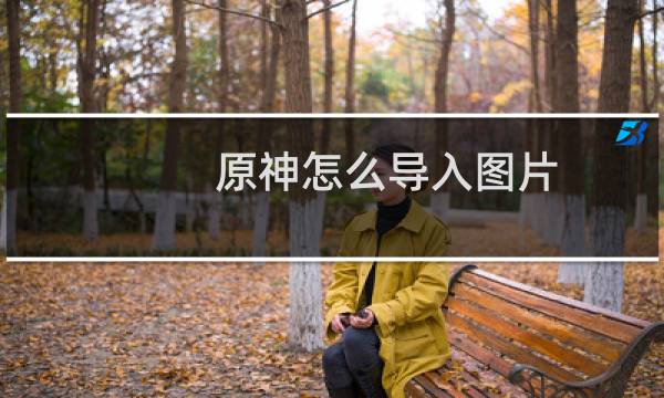 原神怎么导入图片