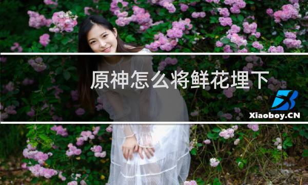 原神怎么将鲜花埋下