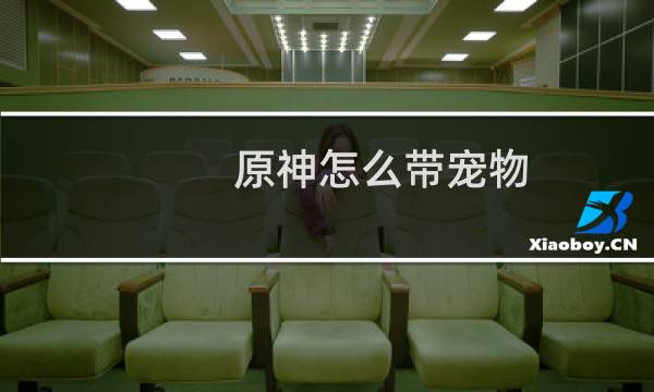 原神怎么带宠物