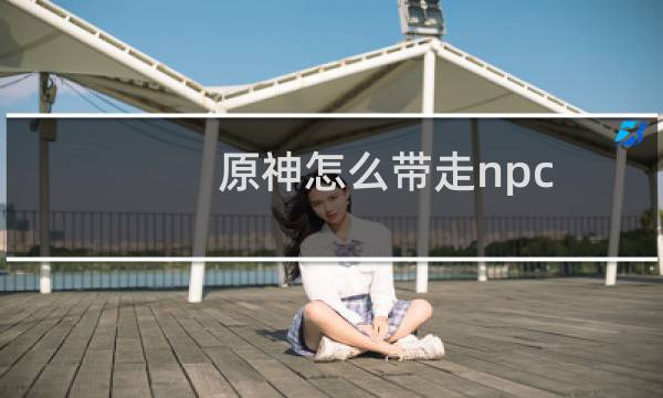 原神怎么带走npc