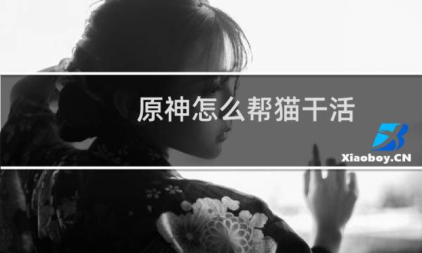 原神怎么帮猫干活