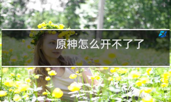 原神怎么开不了了