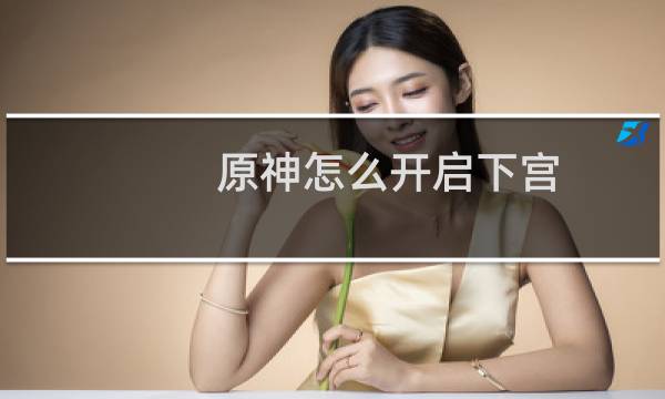 原神怎么开启下宫