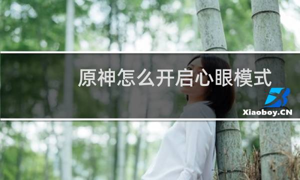 原神怎么开启心眼模式