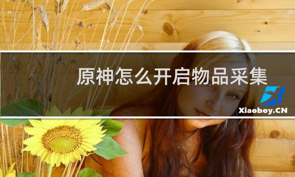 原神怎么开启物品采集