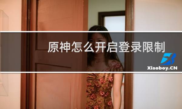 原神怎么开启登录限制