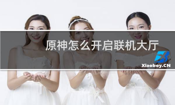 原神怎么开启联机大厅