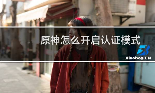 原神怎么开启认证模式