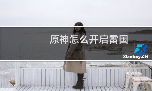 原神怎么开启雷国