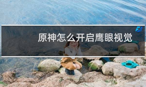 原神怎么开启鹰眼视觉