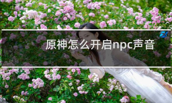 原神怎么开启npc声音