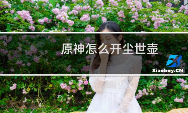 原神怎么开尘世壶