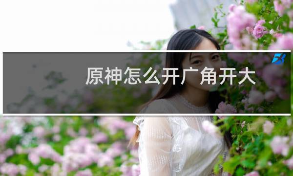 原神怎么开广角开大