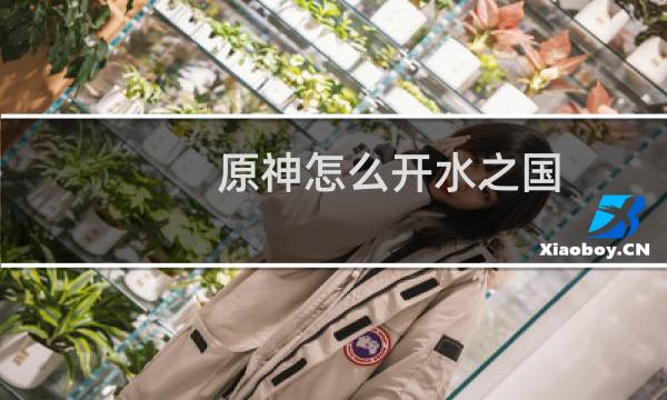原神怎么开水之国