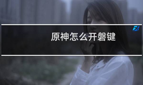 原神怎么开磐键
