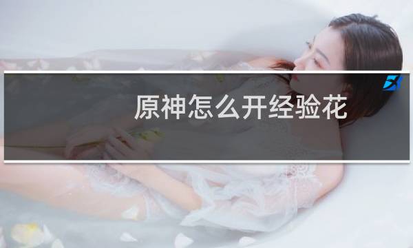 原神怎么开经验花