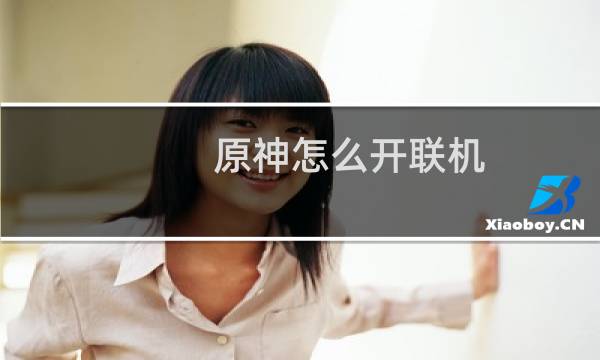 原神怎么开联机