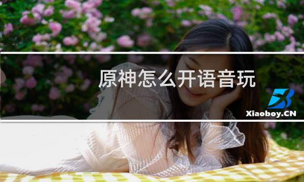 原神怎么开语音玩