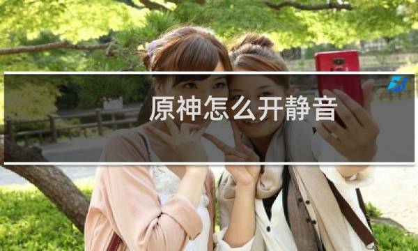 原神怎么开静音