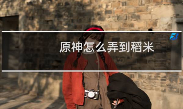 原神怎么弄到稻米