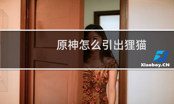 原神怎么引出狸猫