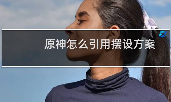 原神怎么引用摆设方案