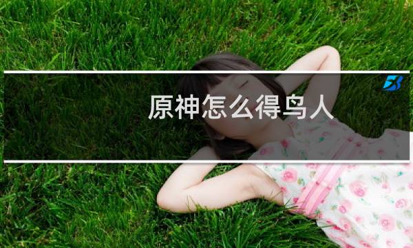 原神怎么得鸟人