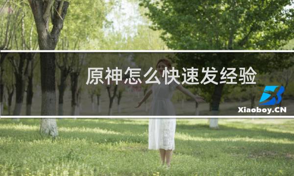 原神怎么快速发经验