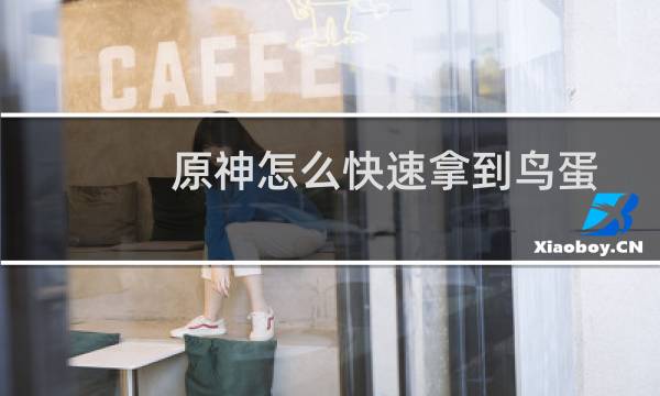 原神怎么快速拿到鸟蛋