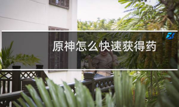 原神怎么快速获得药