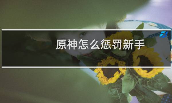 原神怎么惩罚新手