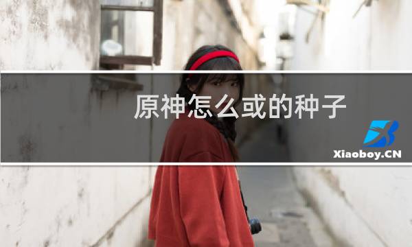 原神怎么或的种子