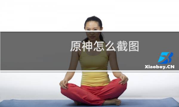 原神怎么截图 pc端