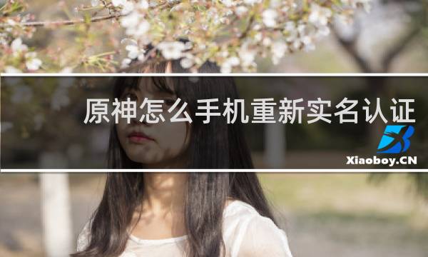 原神怎么手机重新实名认证