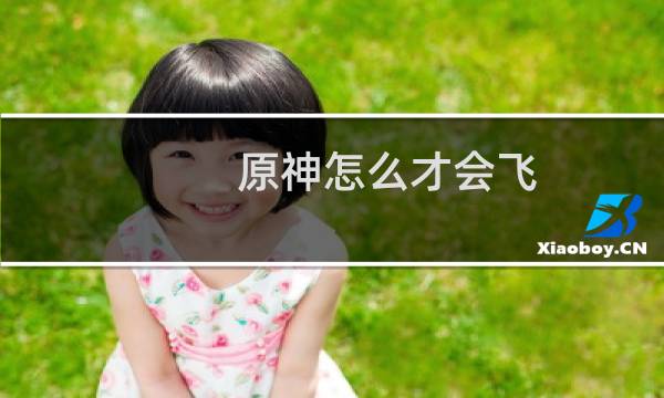 原神怎么才会飞