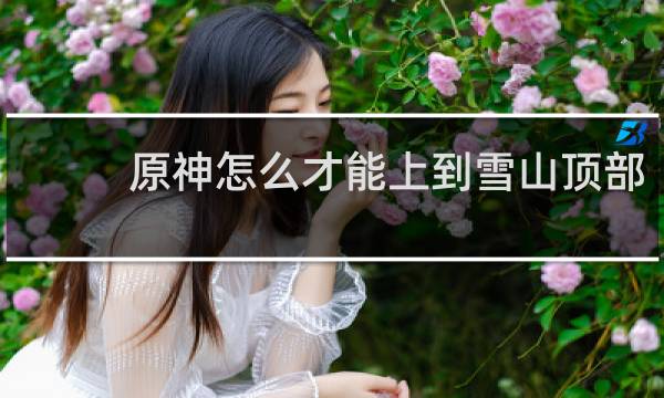 原神怎么才能上到雪山顶部