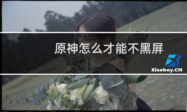 原神怎么才能不黑屏