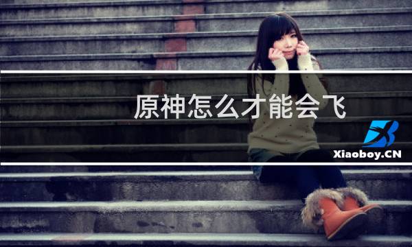 原神怎么才能会飞