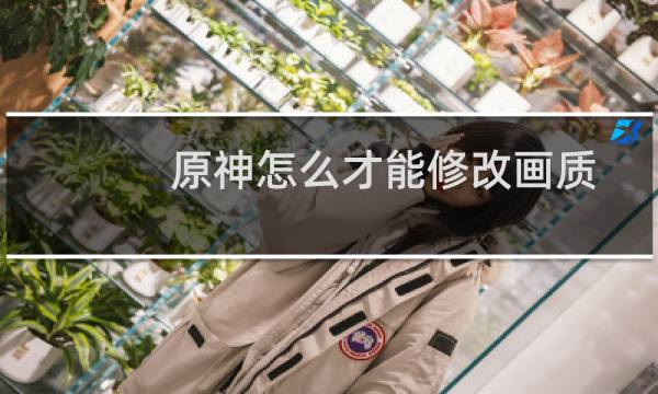 原神怎么才能修改画质