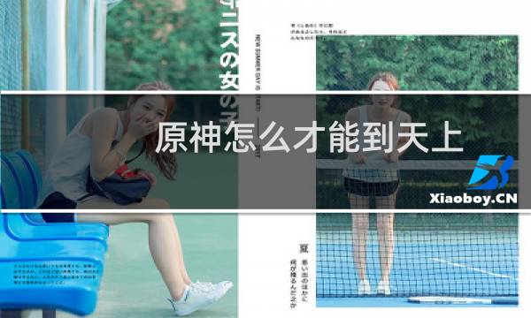 原神怎么才能到天上