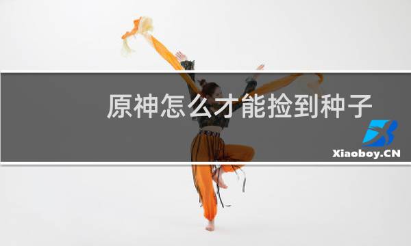 原神怎么才能捡到种子