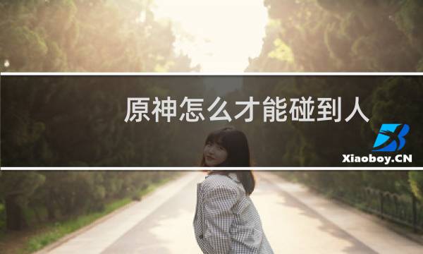 原神怎么才能碰到人