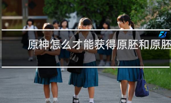 原神怎么才能获得原胚和原胚