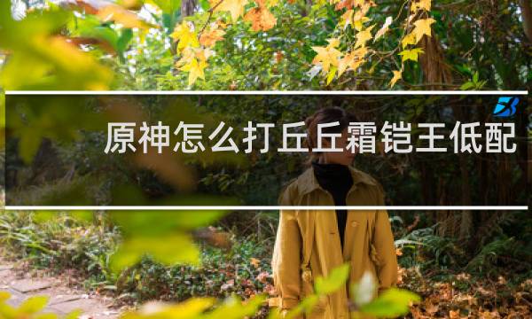 原神怎么打丘丘霜铠王低配