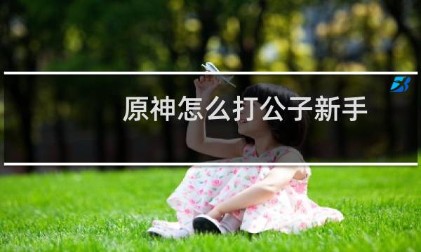 原神怎么打公子新手