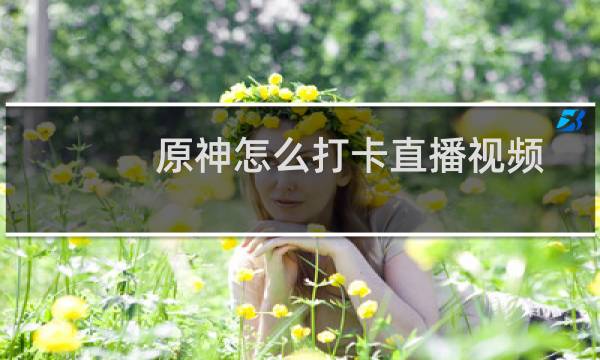 原神怎么打卡直播视频
